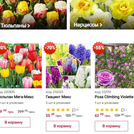 Флоріум — обзор інтернет магазину садових та декоративних рослин