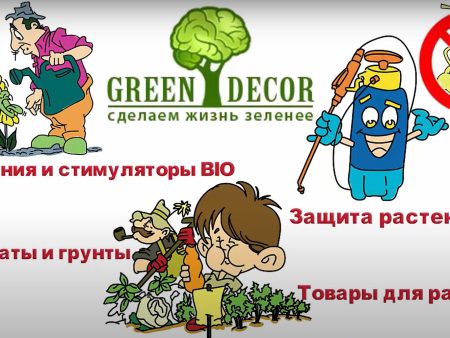 GreenDecor – все для благоустрою ділянки та розведення кімнатних рослин